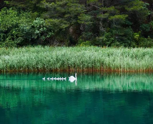 西班牙美食之旅2017,马德里旅游美食
