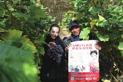 300余位爱心人士为永登“一月红提”找“下家”3天帮老乡卖出红提葡萄1万余斤