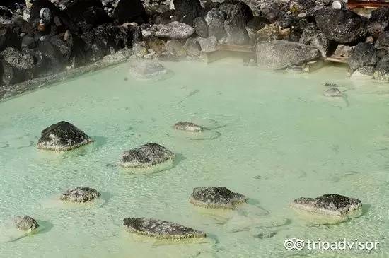 最受日本人喜欢的城市,最受日本人欢迎的景点