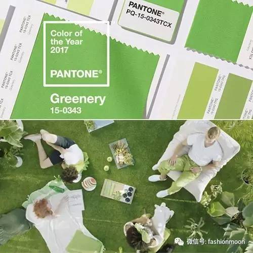 pantone2019年流行色都有什么,pantone2023流行色英文视频