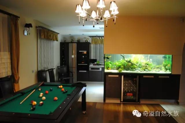 鱼缸摆放位置与属相,鱼缸的摆放位置以及风水影响
