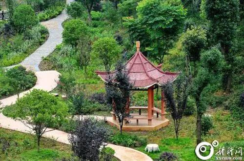 2021年娄星区改革,娄星区发展方向