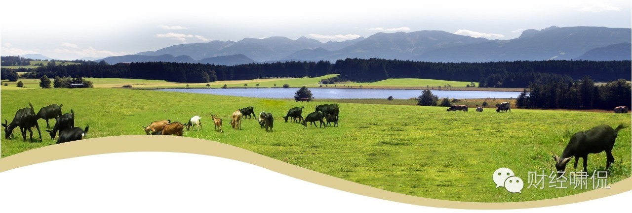 投资3亿的羊乳加工厂,羊企