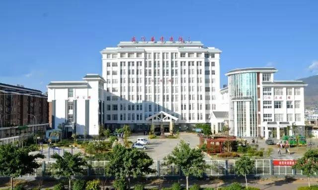 肾结石的救星来了,结石的大克星来了