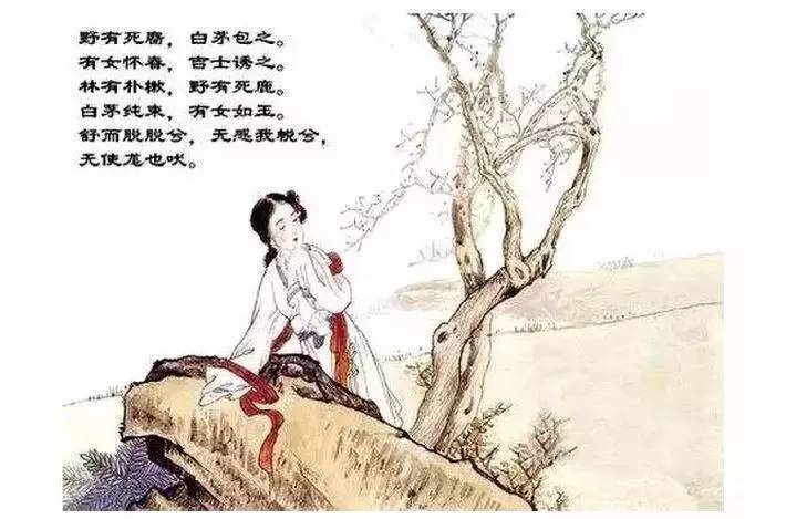 诗经里的爱情美图,诗经中有女怀春吉士诱之的诗句