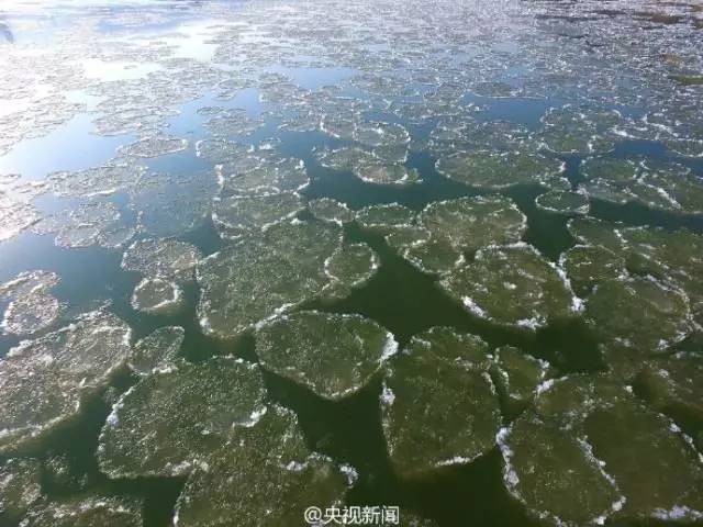 鲜阅读丨新车车主要注意明年起我市施行机动车新标