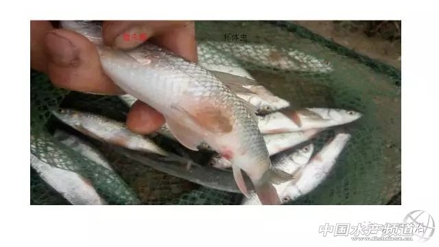 做到这十点顺风顺水,做到这十点你绝对不会吃亏