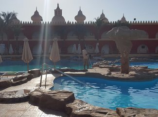 二进埃及，红海我怎能不爱你