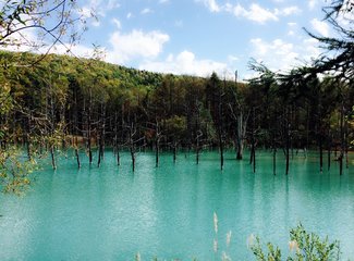2015年国庆从名古屋到札幌(F1铃鹿,池袋J-WORLD,东北盛冈,函馆夜景,青池,遗憾的富良野)
