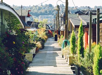 西雅图极光攻略,费尔班克斯极光旅游攻略