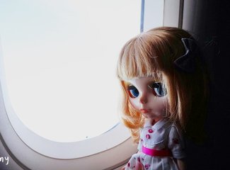 11月京都红叶游记,京都红叶两日游