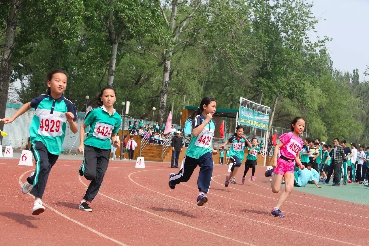 体育心得体会感悟短句,感悟体育的作文600字