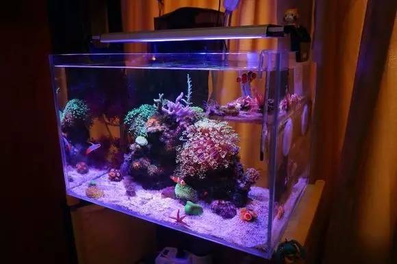 玩的真溜,三千玩出了三万的水平!