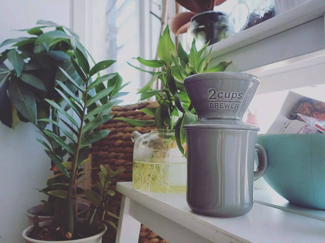 重磅｜只有如此理直气壮的买买买，才配得上即将过去的2016