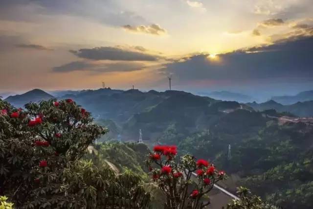 沪昆高铁上海虹桥开往昆明南,沪昆高铁昆明始发车次