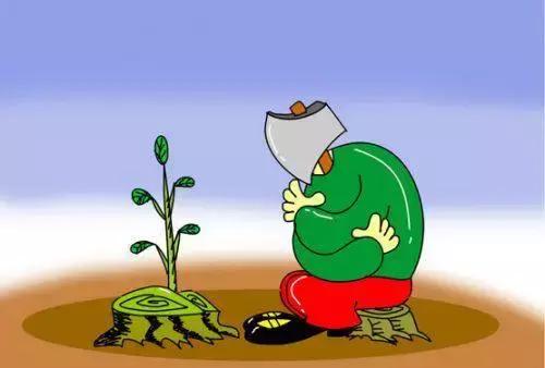 便宜几万甚至几十万的平行*口车进**值不值得买？