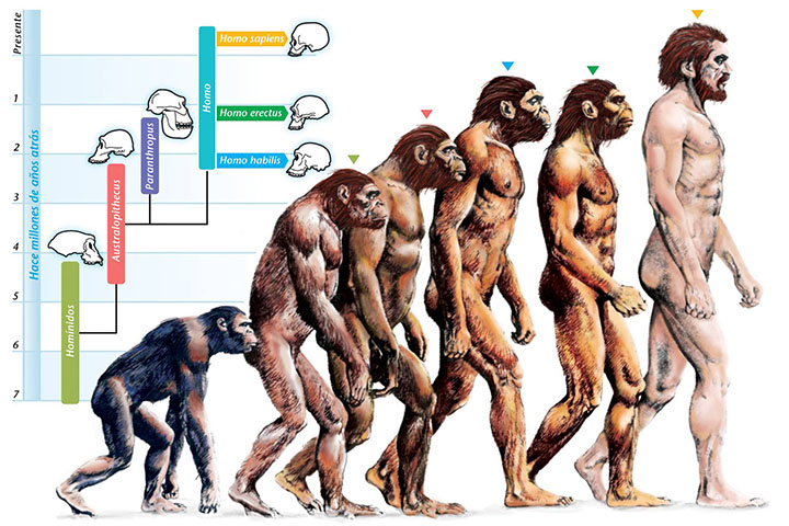 现代人与原始人,现代人与古代人的区别有