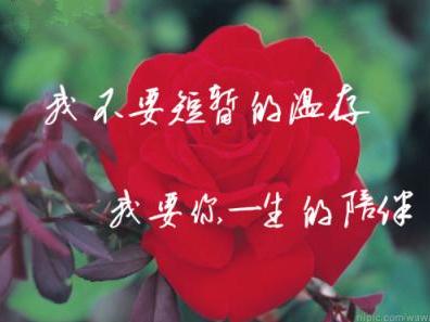 愚人节表白恶搞的句子简短,愚人节整蛊表白段子