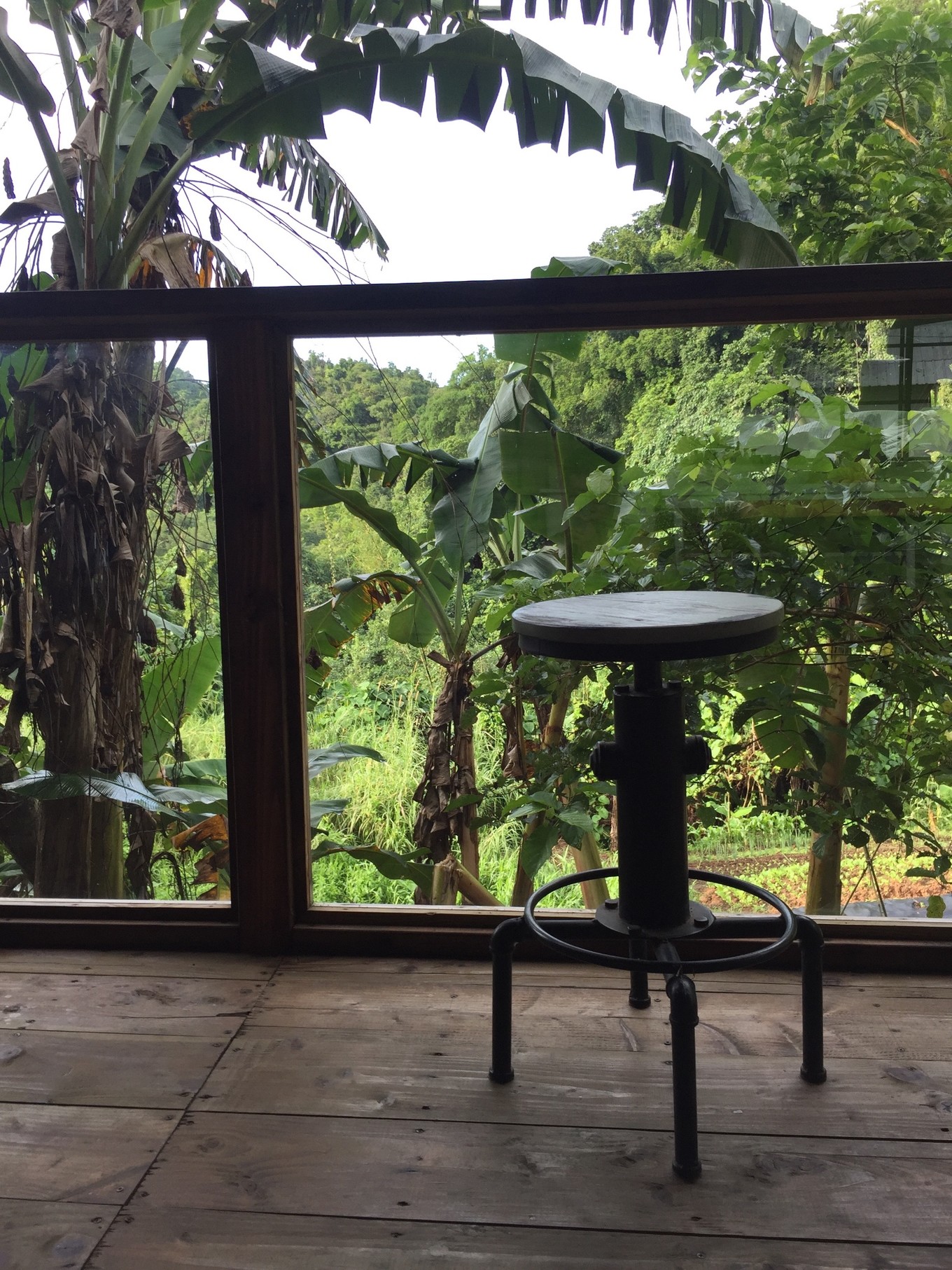 帕劳旅行攻略大全图文,帕劳旅行攻略图文大全