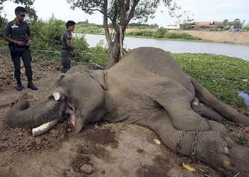 你还在买黄金吗,你还在买珠宝吗