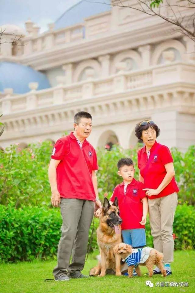 刘阿姨德牧,福多多德牧