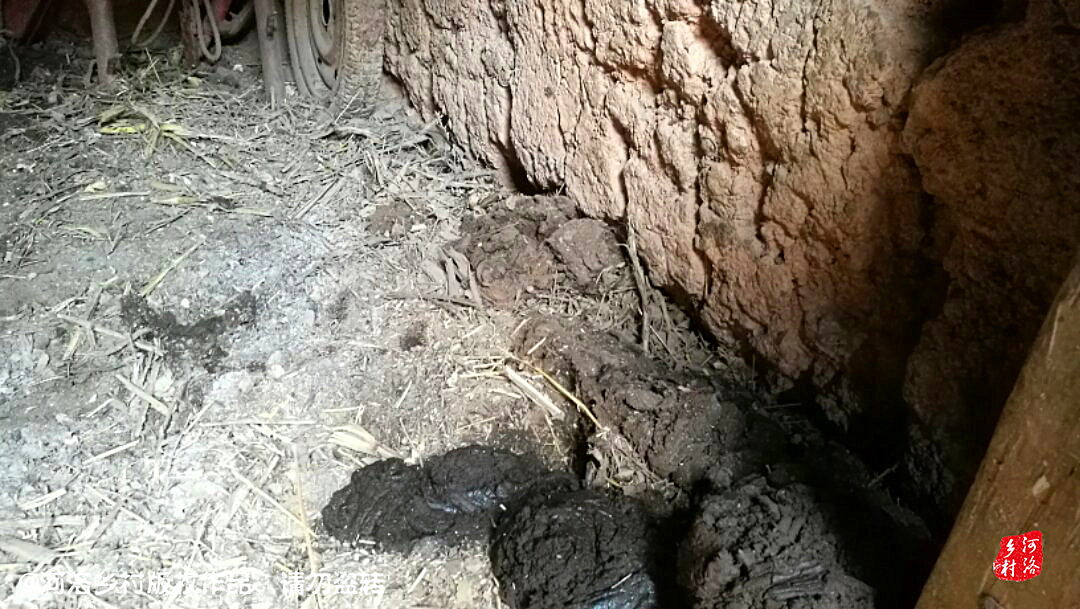 鍐滄潙灏忓瀷鍘ㄦ埧鐗涙,娌冲崡鍐滄潙鐗涙