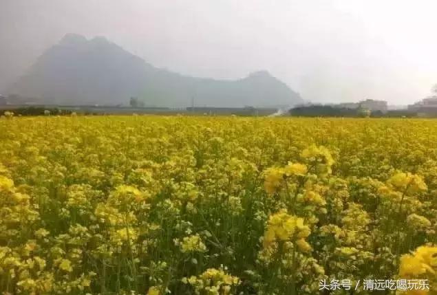 英德有多少个地方,英德最好的地方在哪里