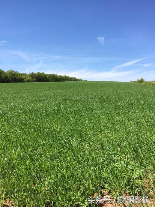 鐖卞痉鍗庣帇瀛愬矝鏈夋病鏈夊畨濡繖涓汉,缁垮北澧欑殑瀹夊Ξ鐖卞痉鍗庣帇瀛愬矝