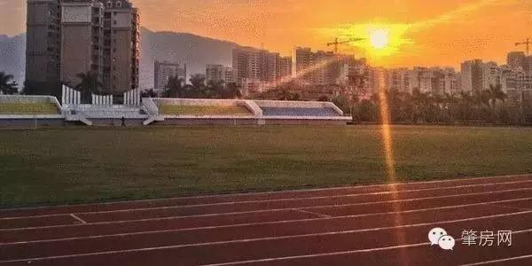 2021年端州学区划分表,2019肇庆端州学区划分