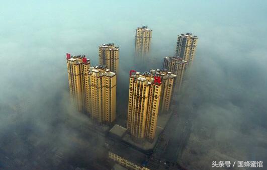 现在雾霾这么大，我得喝点蜂蜜静一静