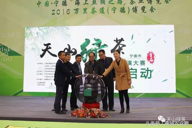 绿茶赏茶表演,福鼎白茶茶艺表演