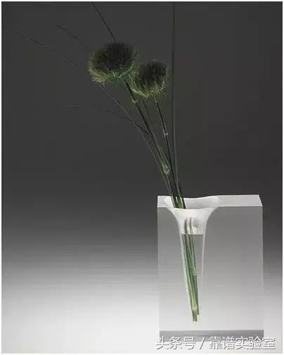 家居丨圣诞节,用花瓶装扮美美的家