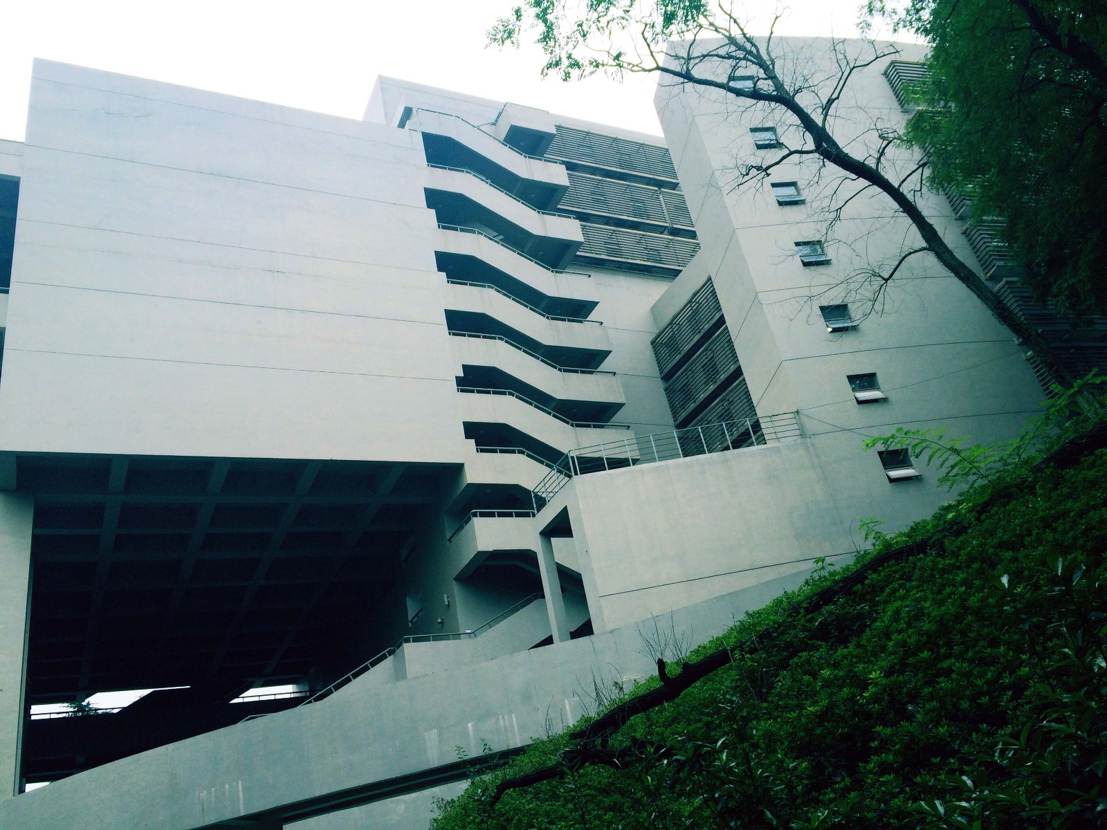 遇见南艺——关于爱与行走和青春