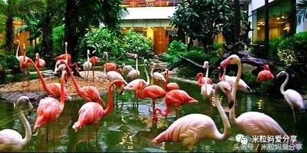 广州亲子游5天自由行不累,适合带宝宝去的亲子游