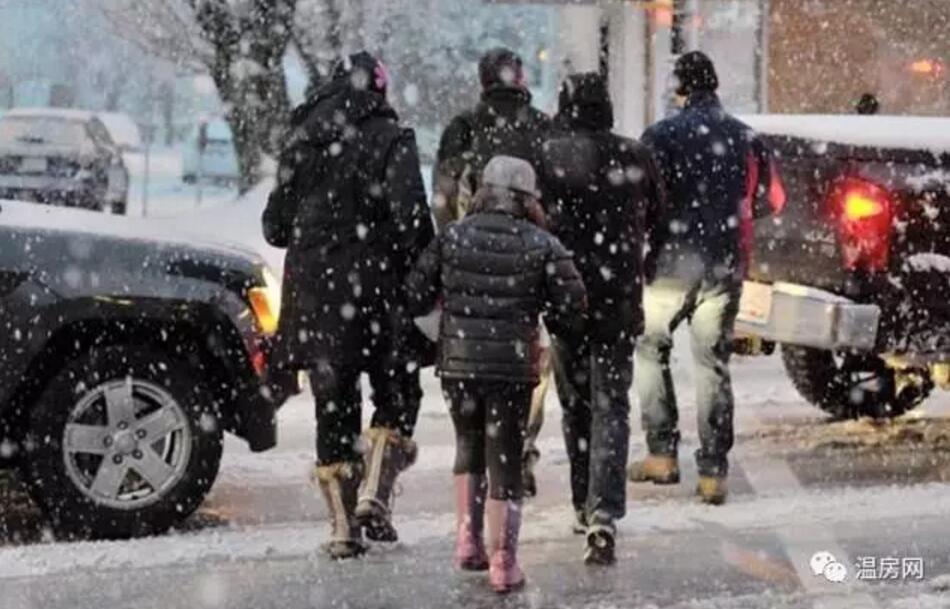 加拿大最新购物新闻,加拿大购物真实经历