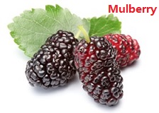 apple苹果的英语是什么,苹果的英语为什么是anapple