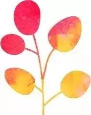 越野e族内蒙古大队,越野e族格尔木分队年会