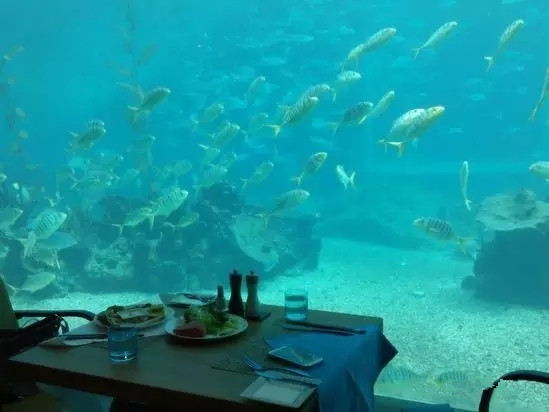 三亚性价比高的亲子酒店,三亚适合亲子住的好酒店