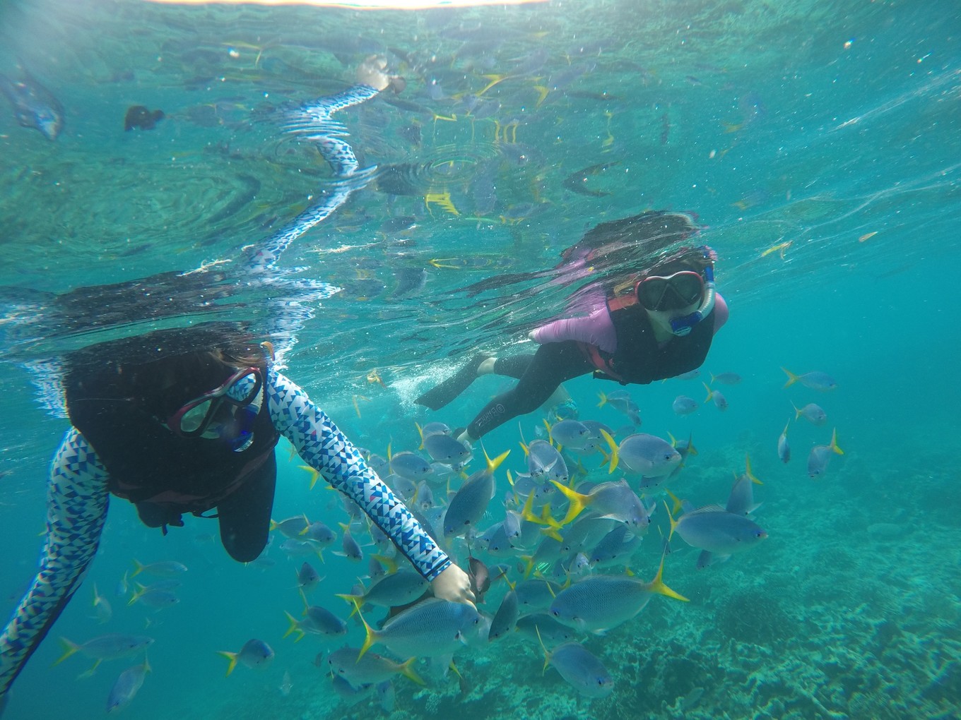 帕劳旅行攻略大全图文,帕劳旅行攻略图文大全
