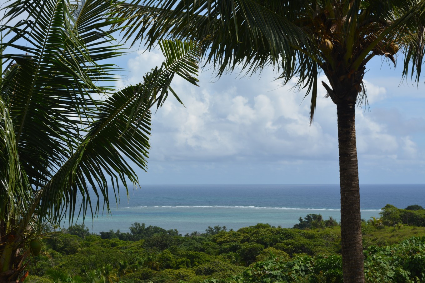 帕劳旅行攻略大全图文,帕劳旅行攻略图文大全