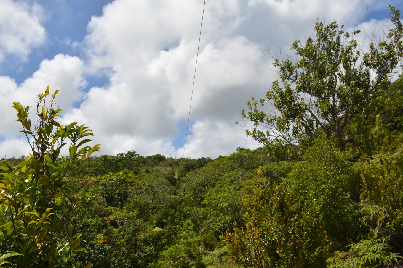 帕劳旅行攻略大全图文,帕劳旅行攻略图文大全