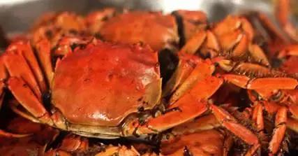 山东济南什么菜最出名,山东济南农村特色菜