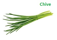 apple苹果的英语是什么,苹果的英语为什么是anapple