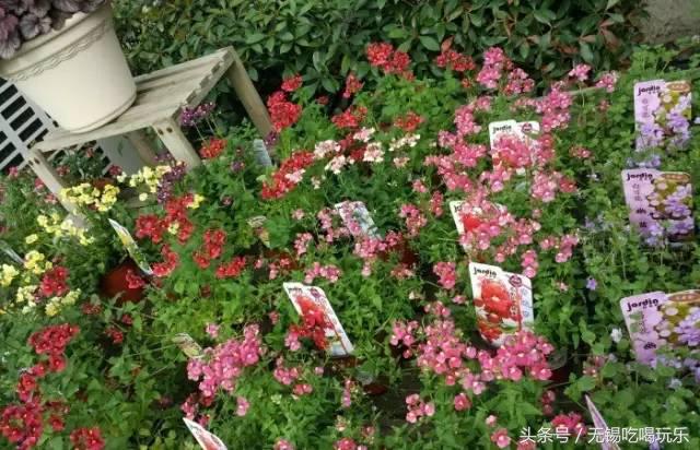 批发年货哪个网站批发划算,十大必备年货批发