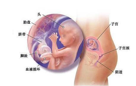 孕晚期坚持4件事,孕晚期随时面对的风险