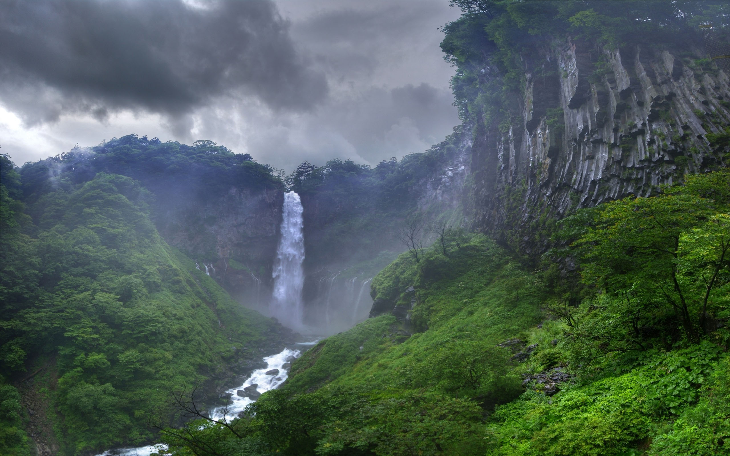 柯洁人工智能事件始末,柯洁入侵野区