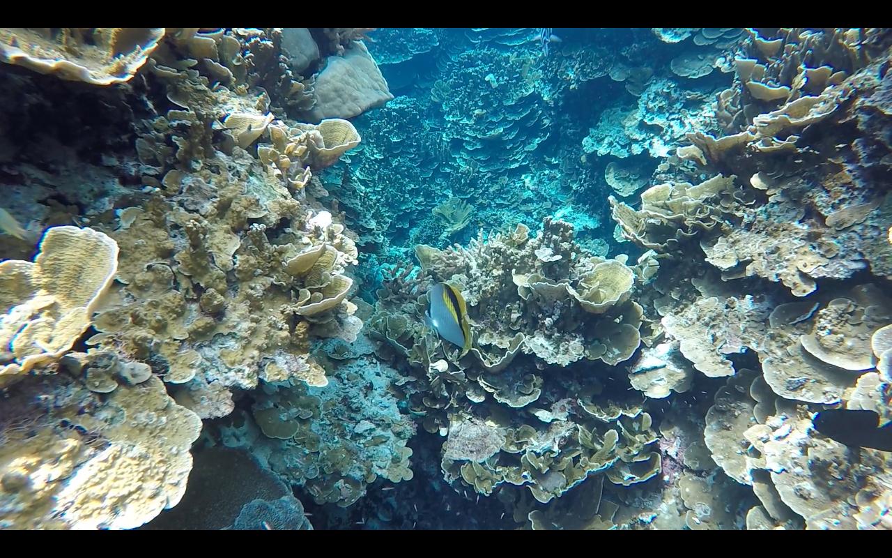 帕劳旅行攻略大全图文,帕劳旅行攻略图文大全