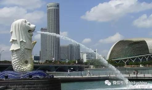 新春乘机指南,新年购酒注意事项