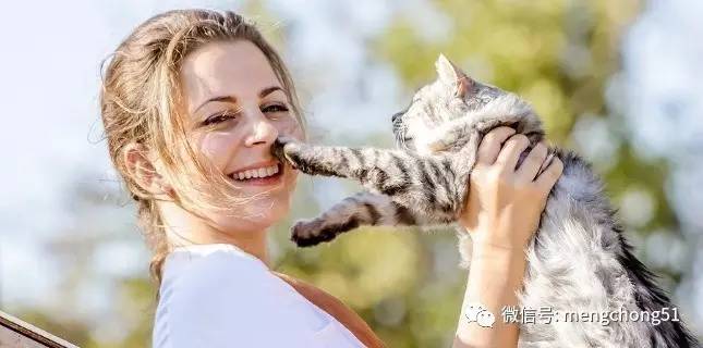 家有猫癣怎么消毒,家猫得了猫癣怎么预防传染人