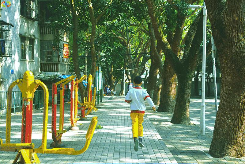 你愿意陪我走过春夏秋冬,你愿意陪我走一条很长的路吗中文